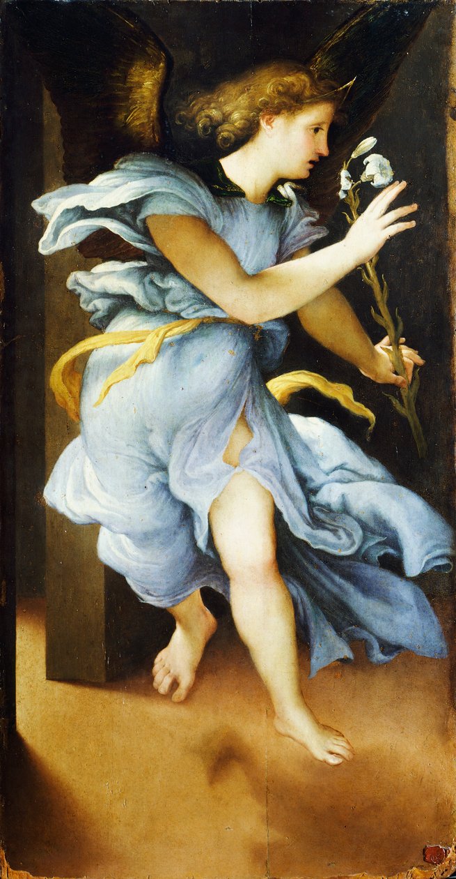 Anons Angel, 1525 dolaylarında, Lorenzo Lotto (1480 ca-1556), panel üzerine yağlı boya, 82x42 cm by Lorenzo Lotto
