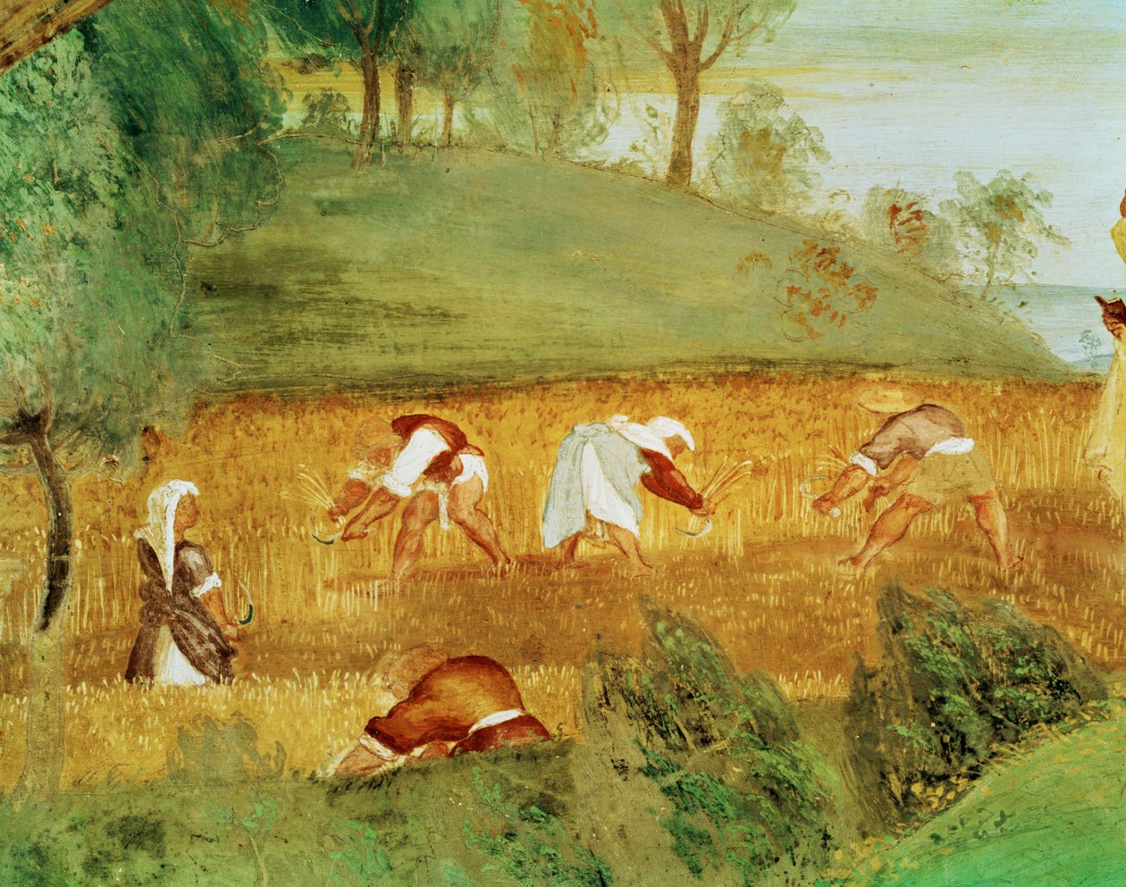  by Lorenzo Lotto