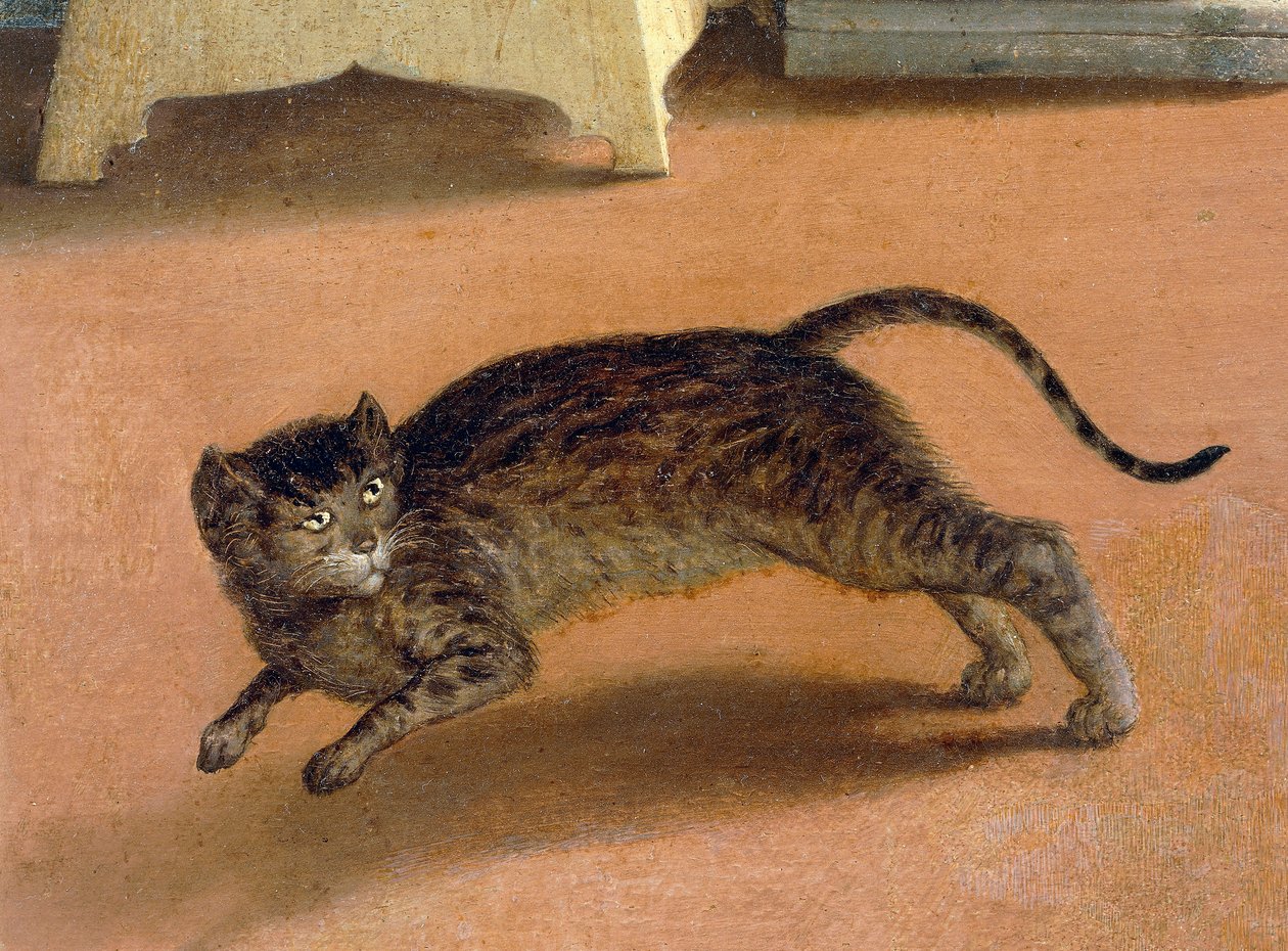 Dehşete kapılmış kedi, Recanati Müjdesi