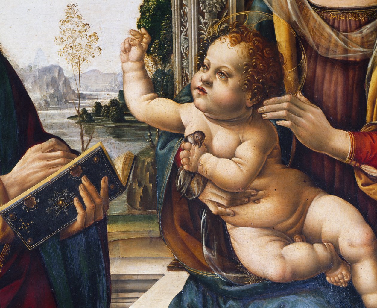 Bebek İsa, Madonna ve Child with Saints'ten detay by Lorenzo di Credi