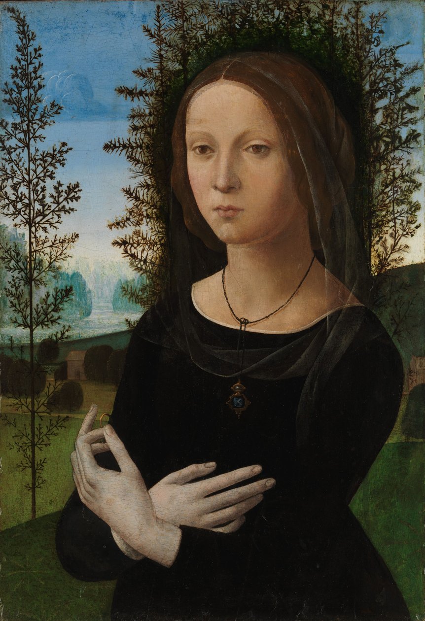 Genç Bir Kadının Portresi, c.1475-80 (tahta üzerine yağlı boya) by Lorenzo di Credi