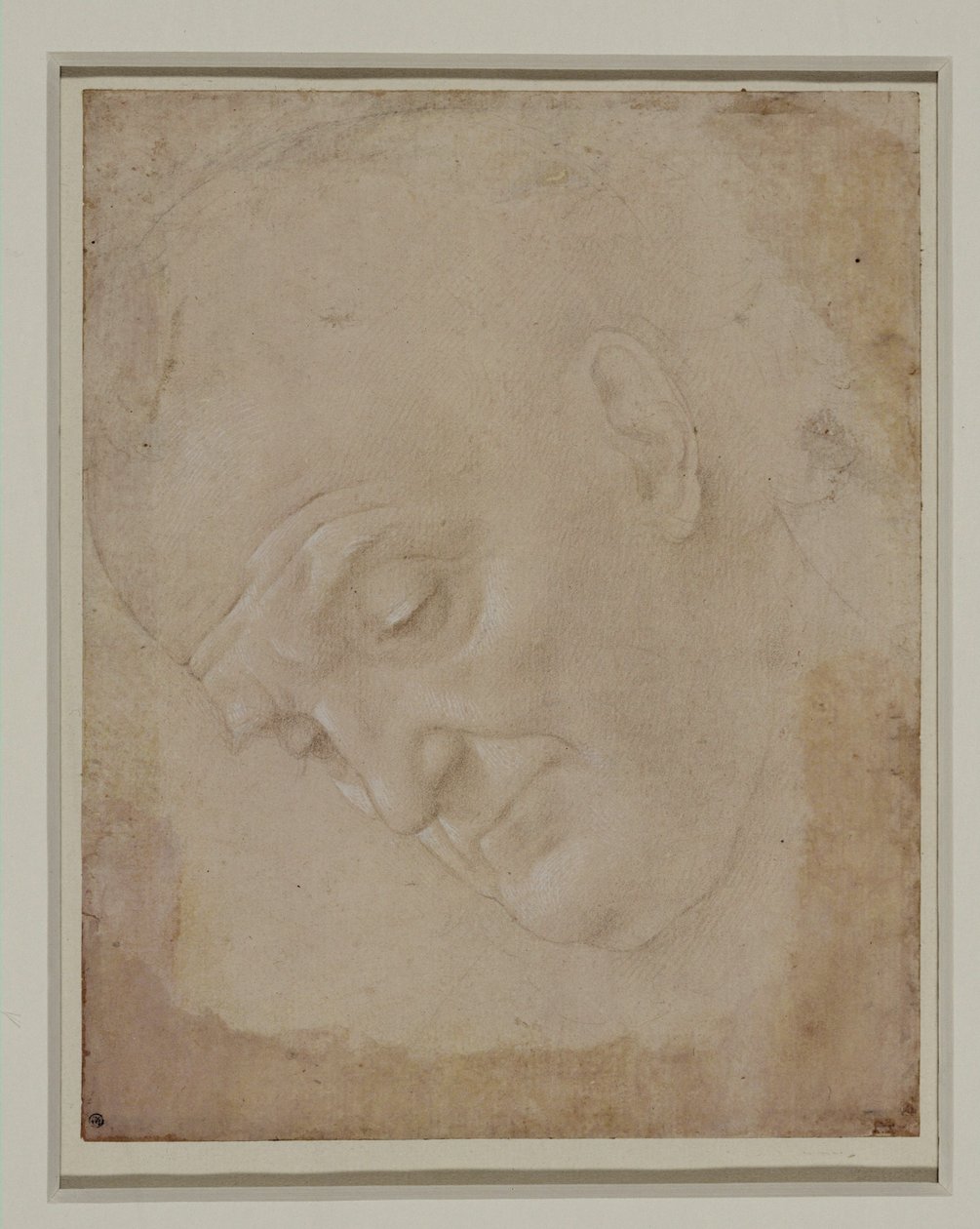  by Lorenzo di Credi