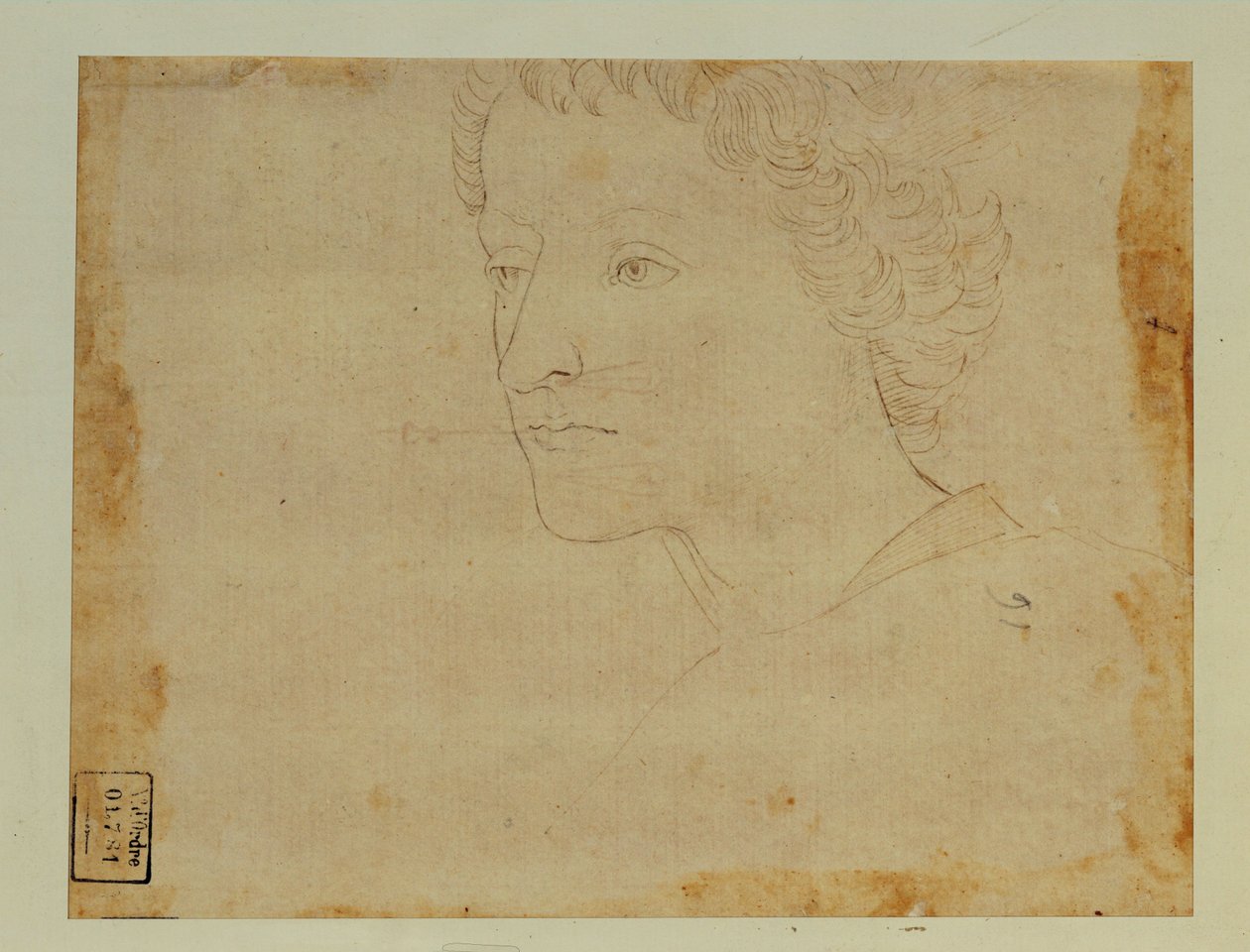  by Lorenzo di Credi