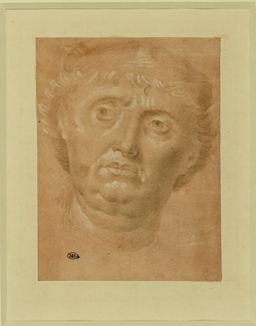  by Lorenzo di Credi