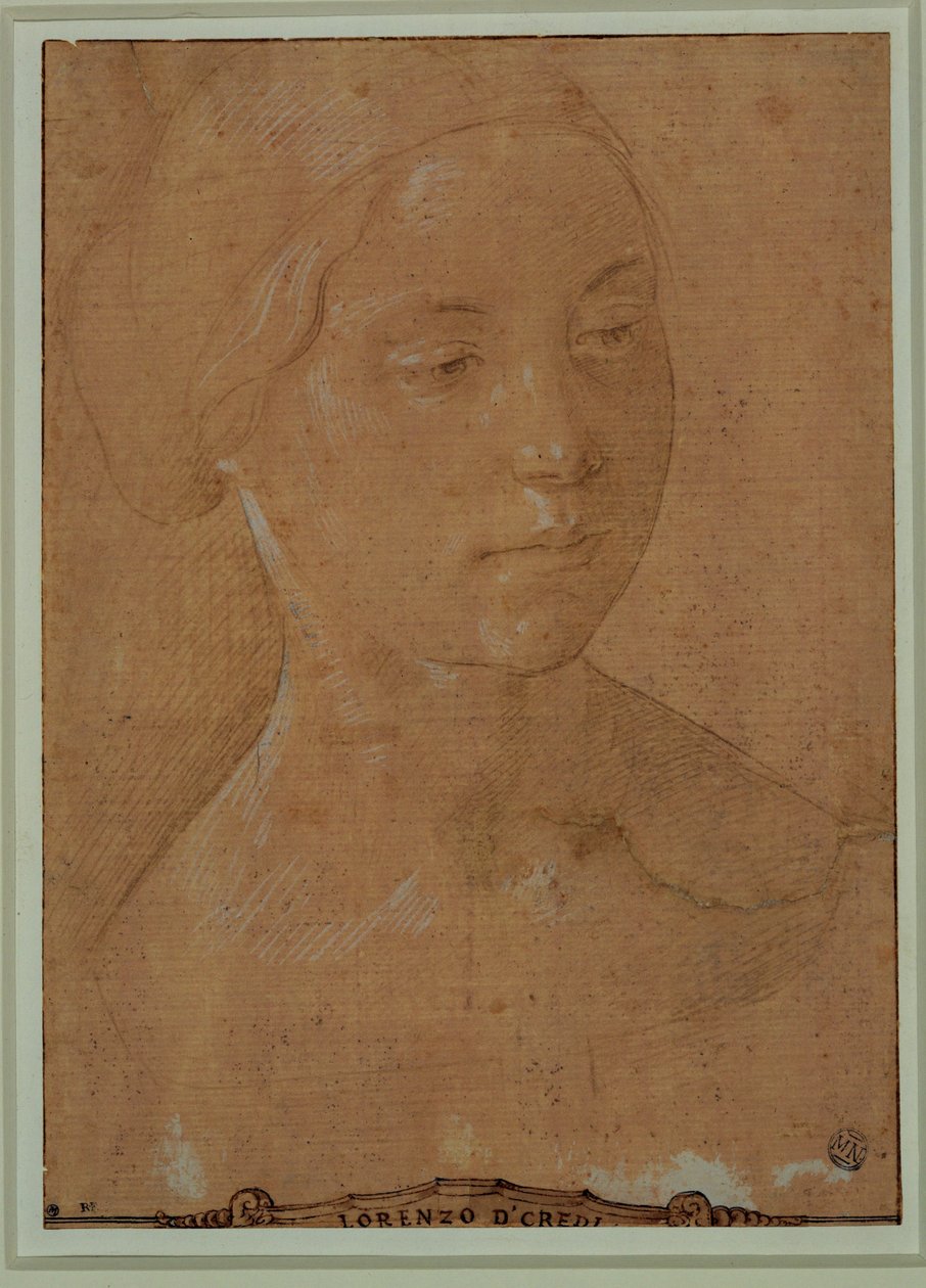  by Lorenzo di Credi