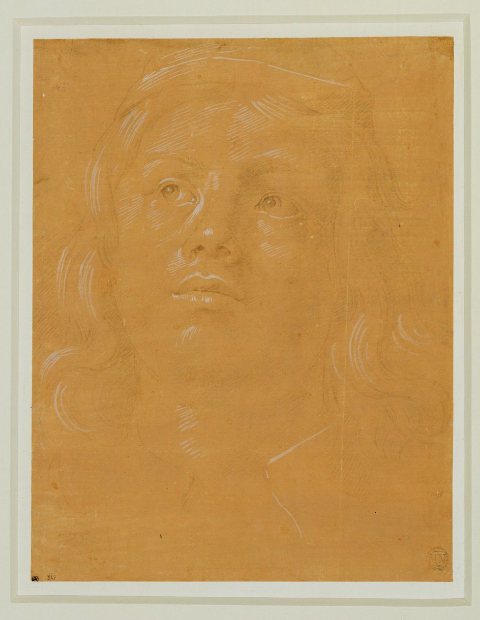  by Lorenzo di Credi