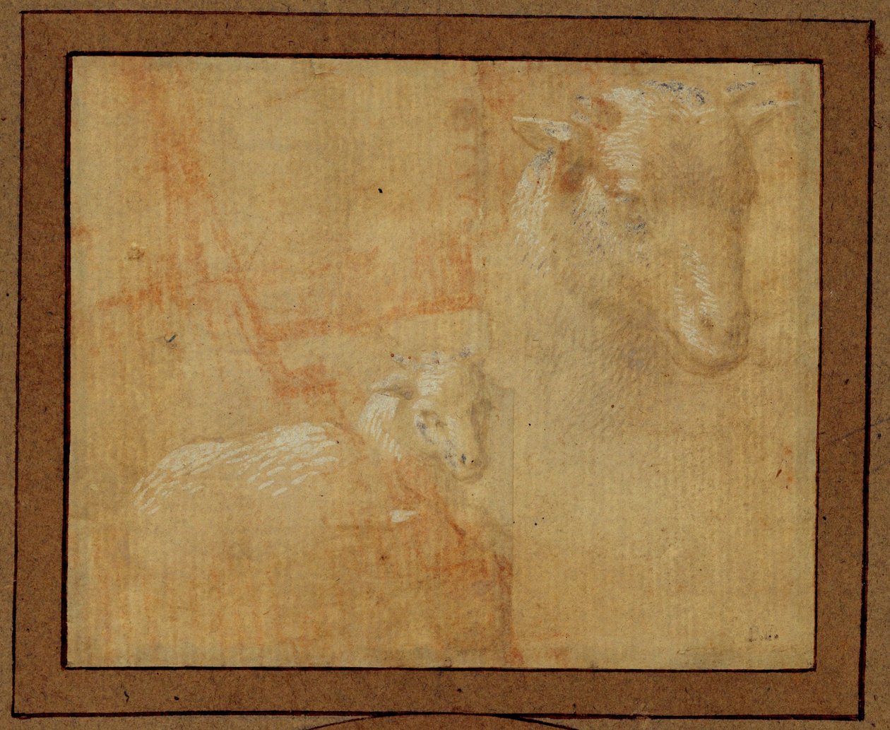  by Lorenzo di Credi