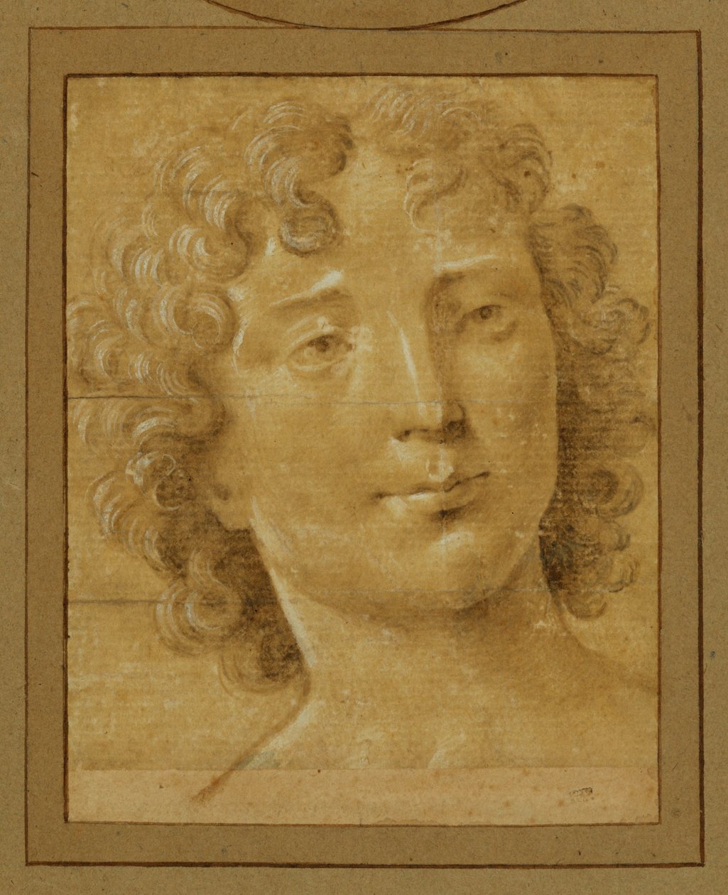  by Lorenzo di Credi