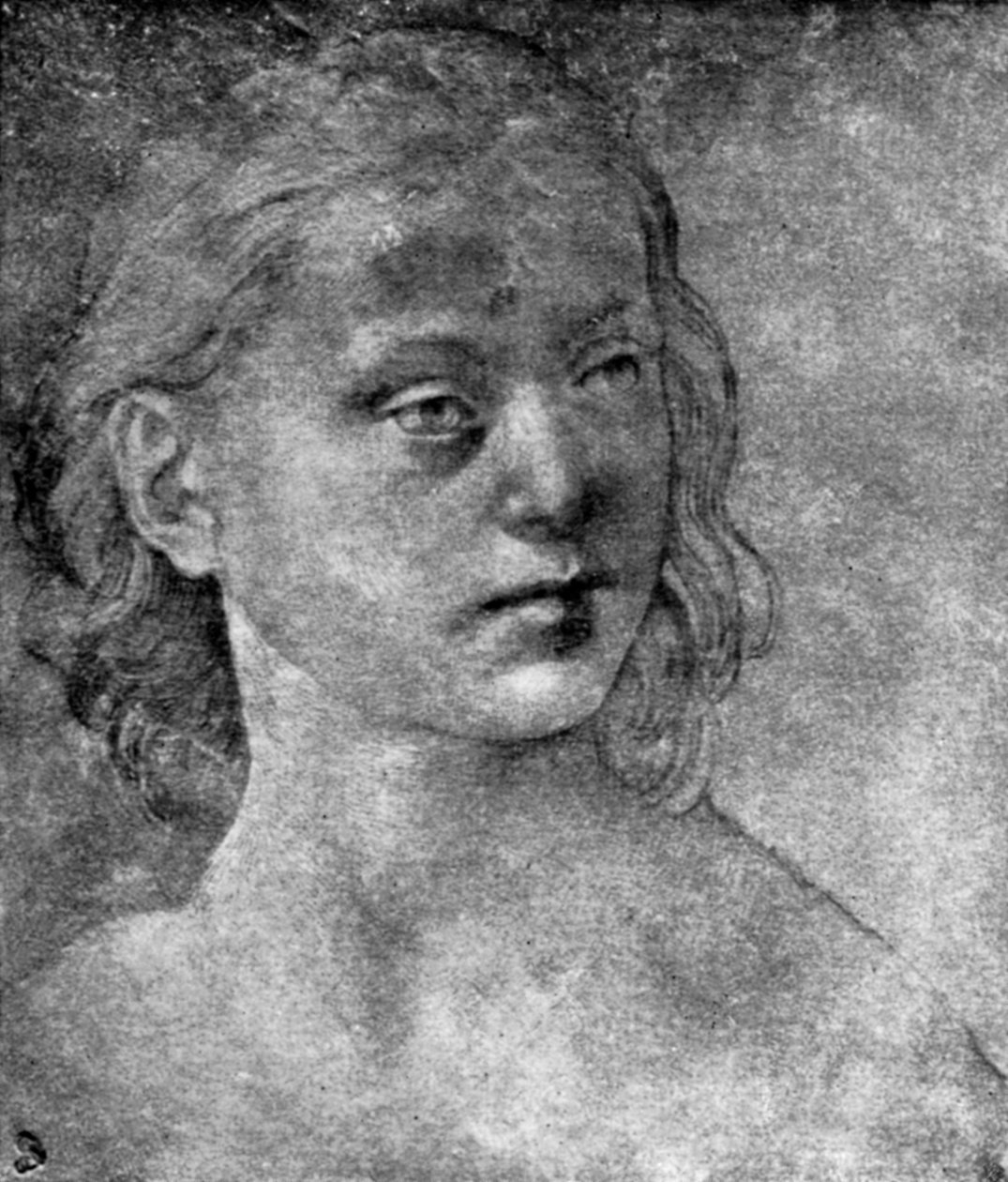 Genç bir kadının başı, 15. veya 16. yüzyıl 1930. by Lorenzo di Credi