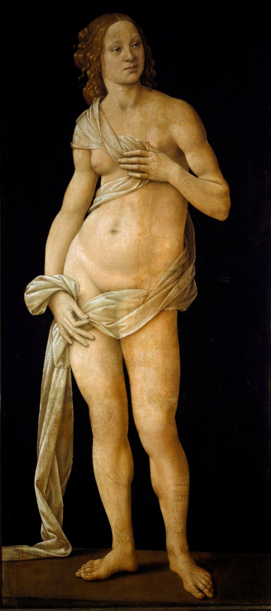 Venüs (ahşapta tempera, c.1490) by Lorenzo di Credi