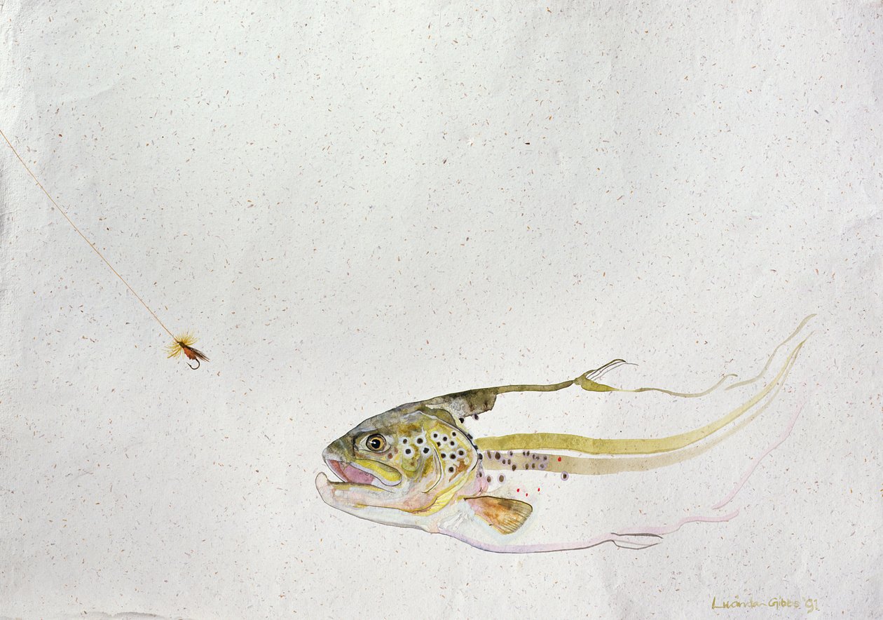 Balıkçı sineğini kovalayan alabalık, 1991 (el yapımı kağıt üzerine sulu boya) by Lou Gibbs