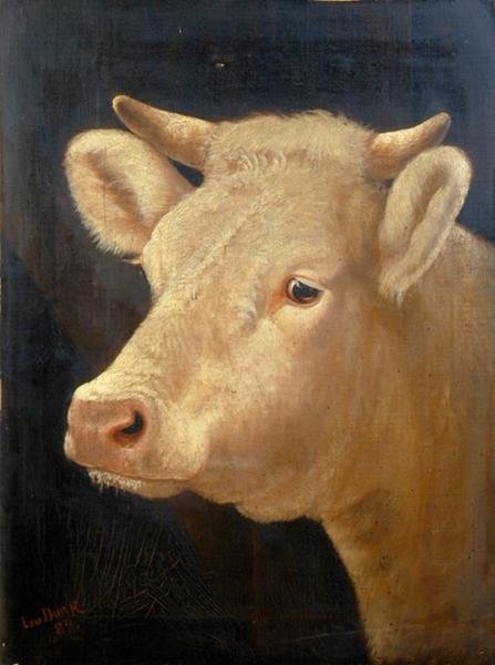 Bir İnek Başkanı by Lou Burk