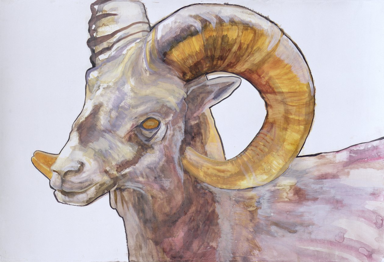 American Long Horn, 2004 (kağıt üzerine gesso üzerine suluboya ve akrilik) by Lou Gibbs