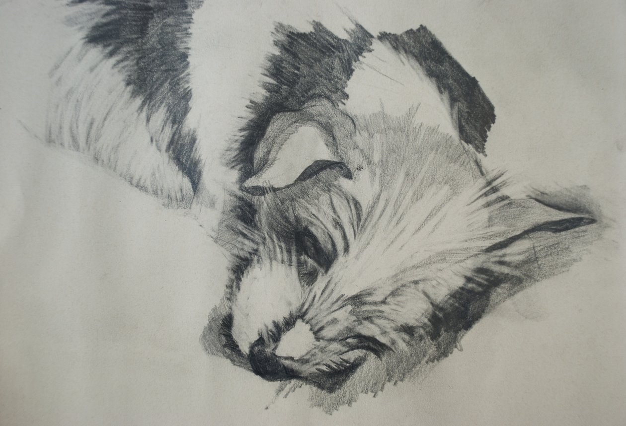 Jack Russel, 2015, by Lou Gibbs