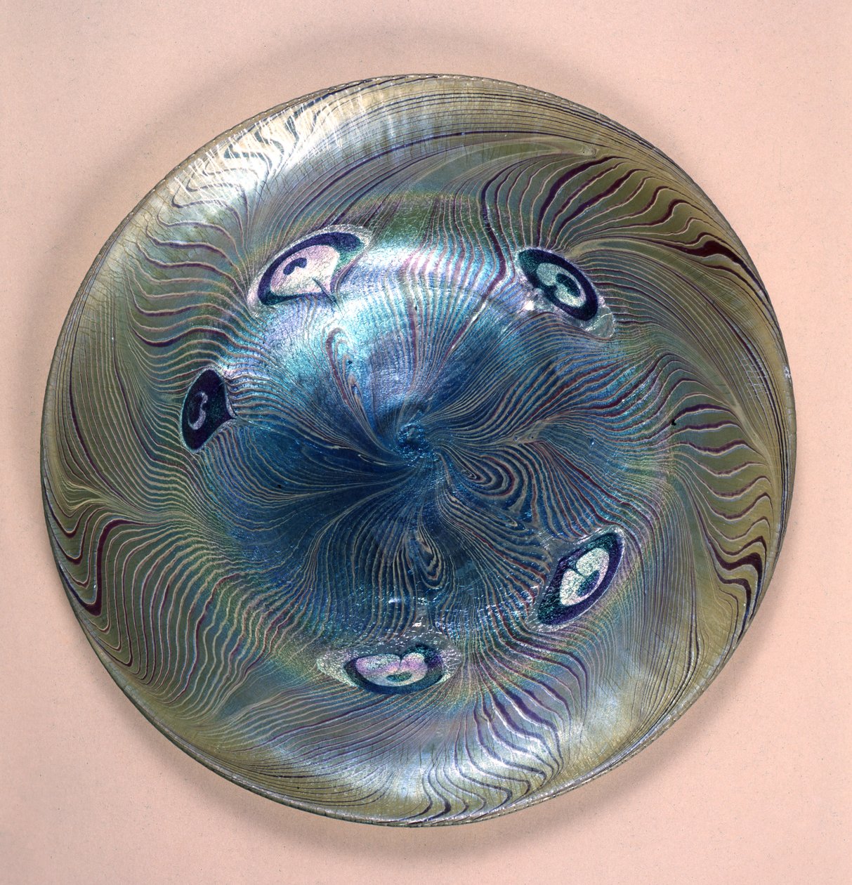Tiffany favori levhası, New York, 1902 (cam) by Louis Comfort Tiffany