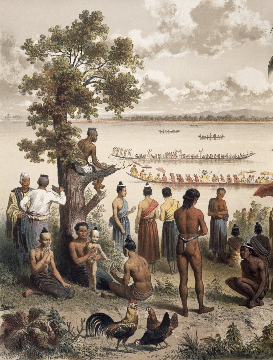 Bassac Nehri üzerindeki Pirogue yarışları, Paris 1874