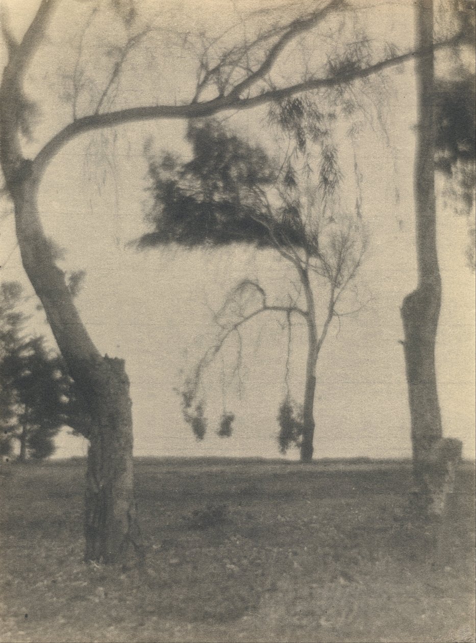 (Ağaçlı Manzara) by Louis Fleckenstein