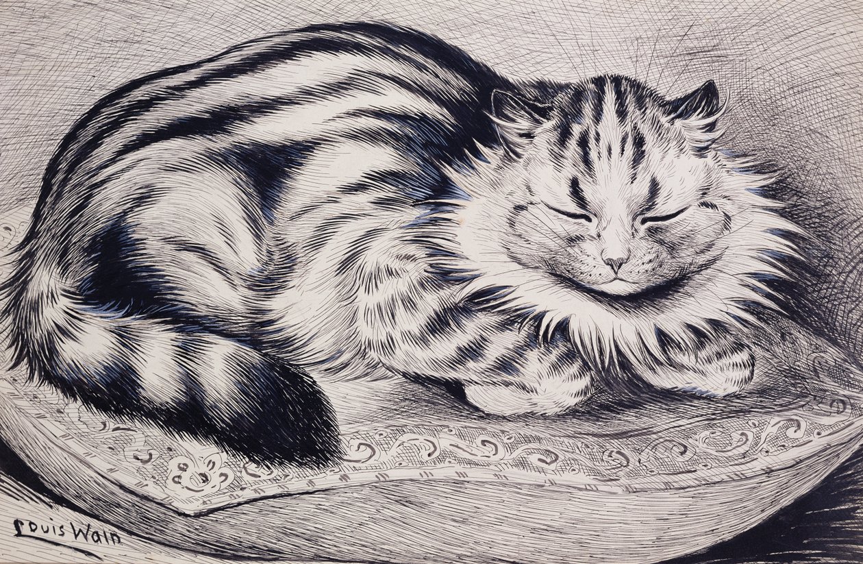 Pussy (kağıt üzerinde kalem ve mürekkep ve gövde rengi) by Louis Wain