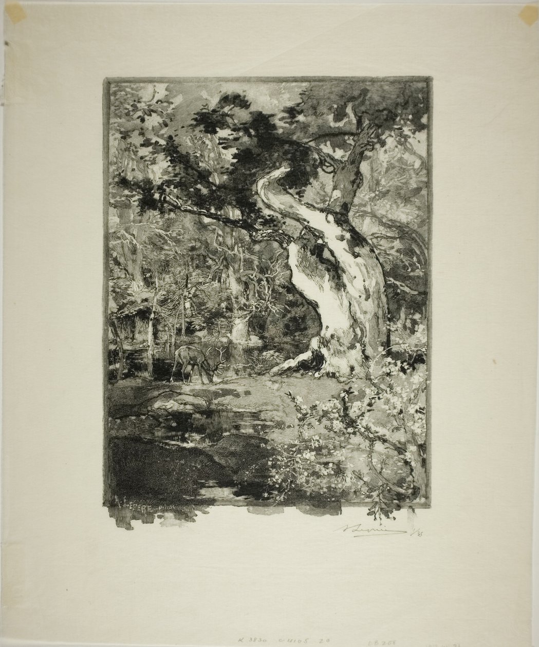  by Louis Auguste Lepère