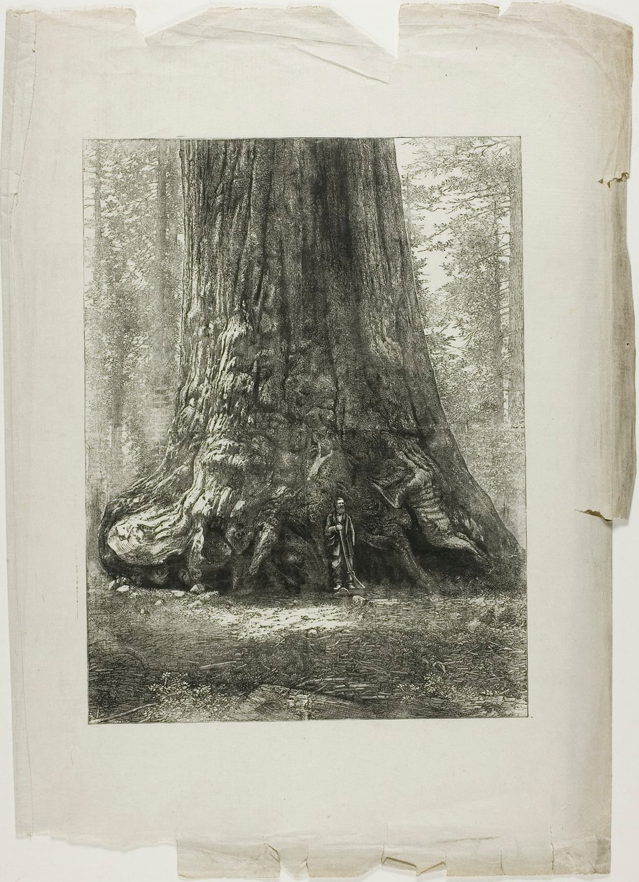  by Louis Auguste Lepère