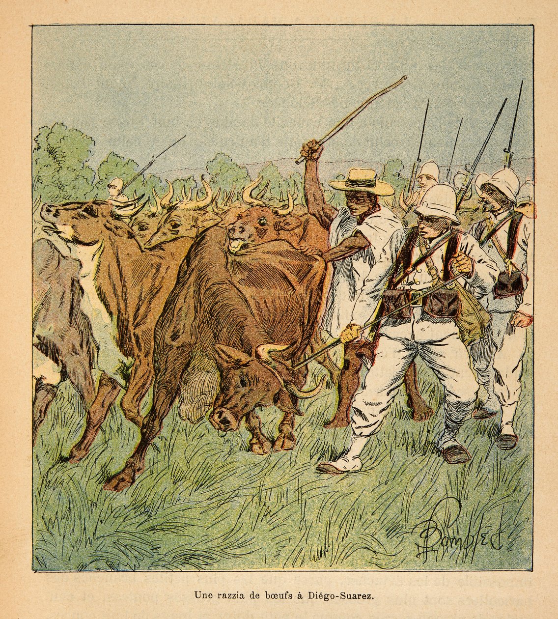 The War in Madagascar-Anecdotal History of the French Expeditions of 1885-1895 by Henri Galli dit Galllichet (1854-1922), illustrated by Louis Bombled (1862-1927): In Diego-Suarez, the French army demands oxen, Private collection by Louis Charles Bombled