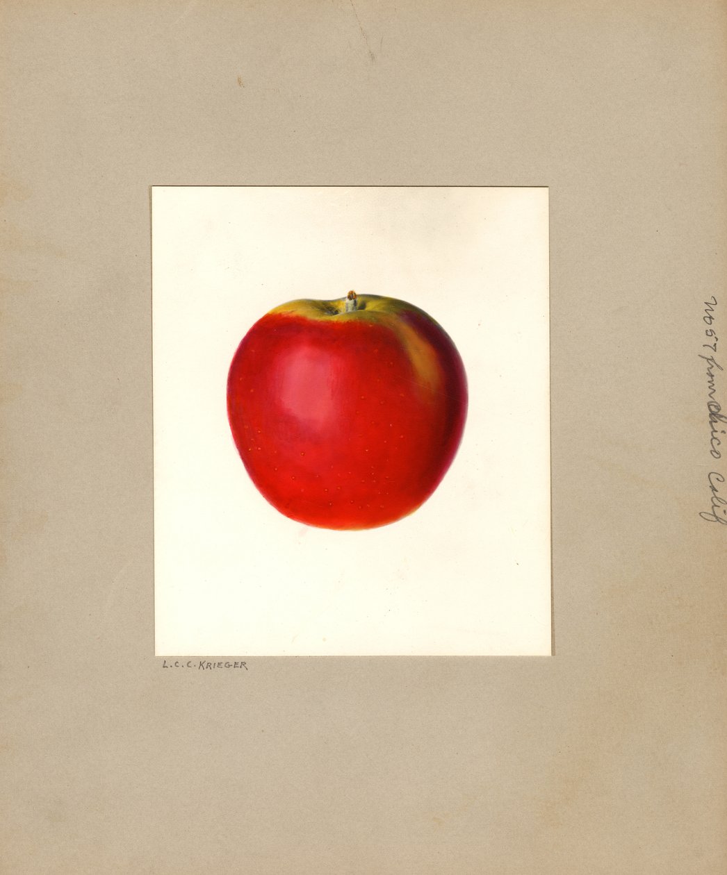  by Louis Charles Christopher Krieger