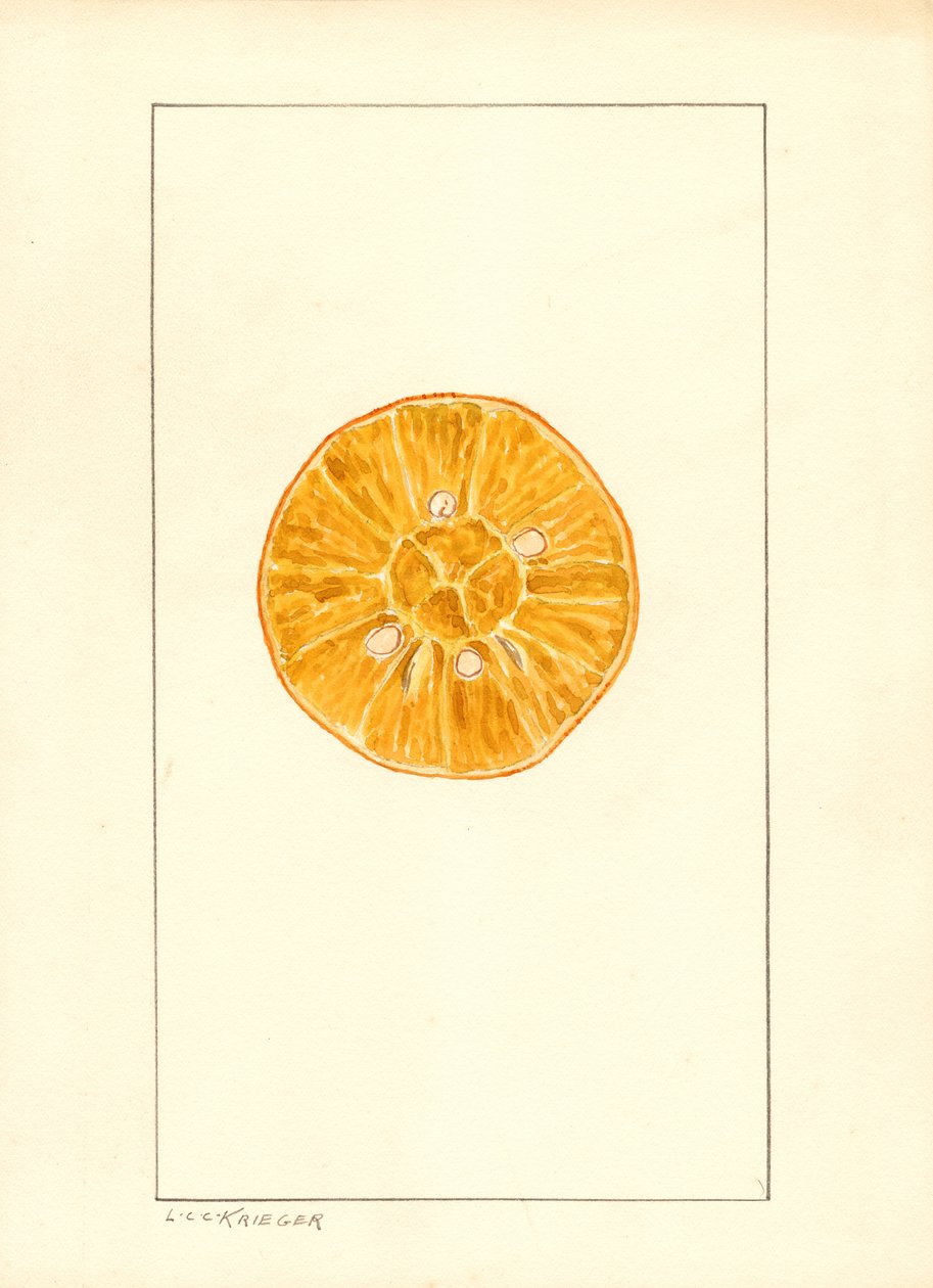  by Louis Charles Christopher Krieger