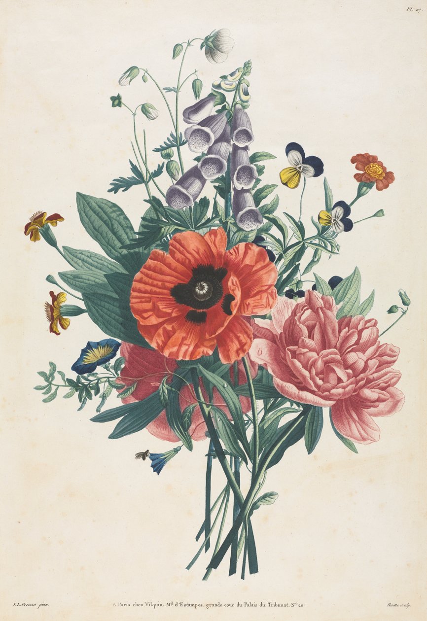 Doğadan Sonra Boyanmış Çiçek ve Meyve Koleksiyonu: Foxglove, Clematis, Hercai Menekşe, Şakayık, Haşhaş ve Sarı Gün Zambağı Buketi by Louis Charles Ruotte
