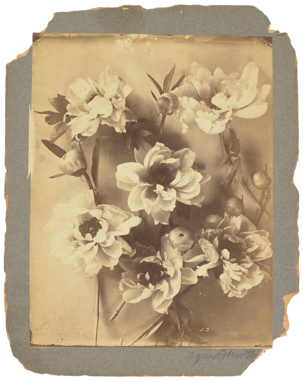 Tiffany Studios, 1898-1920 dolayları (fotoğraf s/b) by Louis Comfort Tiffany