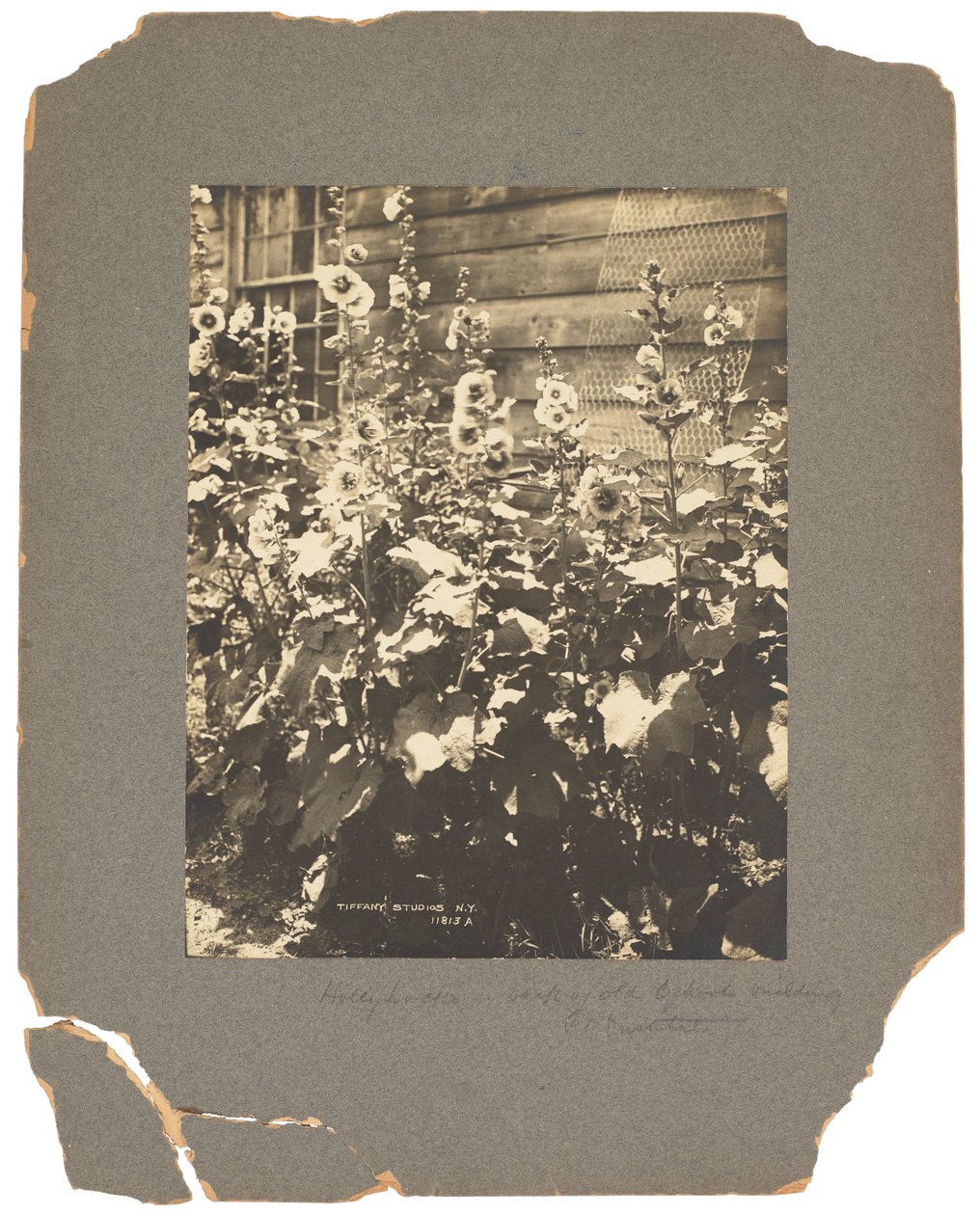 Tiffany Studios, 1898-1920 dolayları (fotoğraf s/b) by Louis Comfort Tiffany