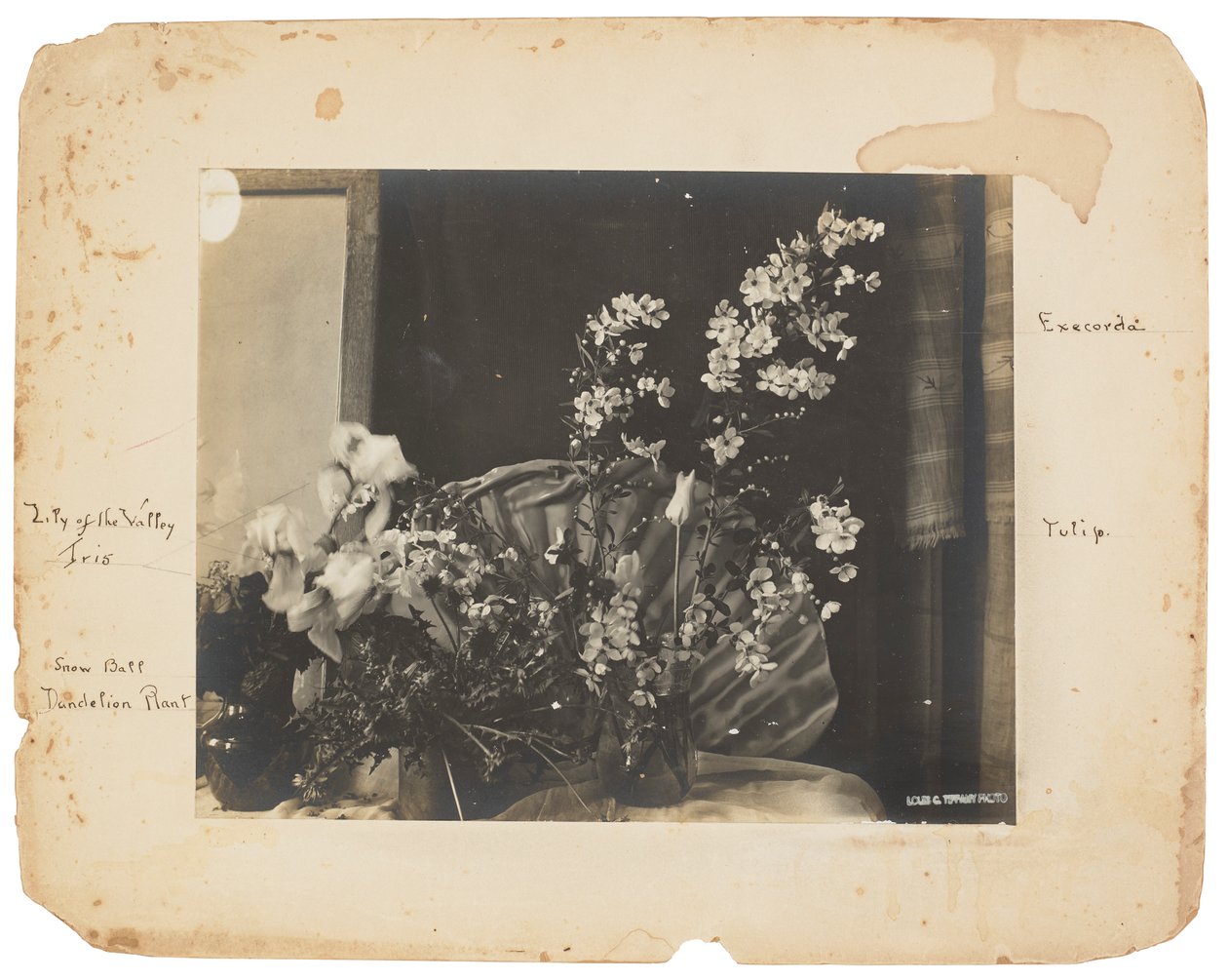 Tiffany Studios, 1898-1920 dolayları (fotoğraf s/b) by Louis Comfort Tiffany