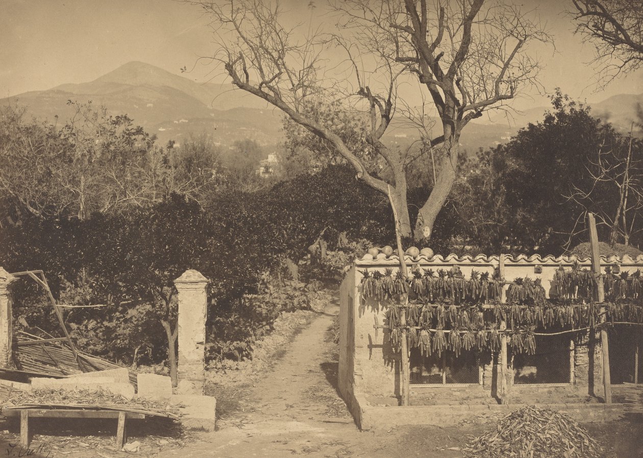 Dağlı Tarım Manzarası, 1850