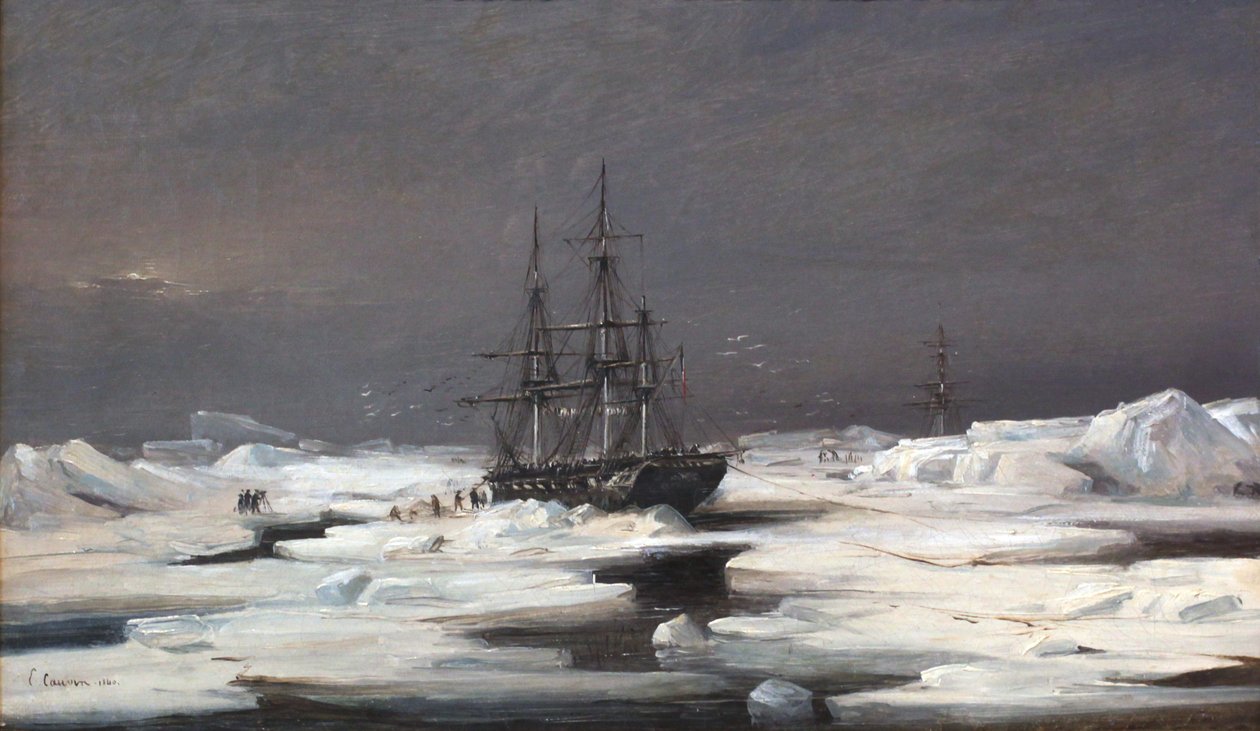  by Louis Édouard Isidore Cauvin