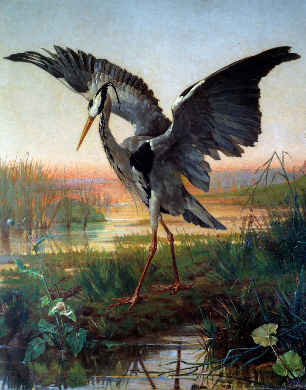 balıkçıl. Jean de La Fontaine