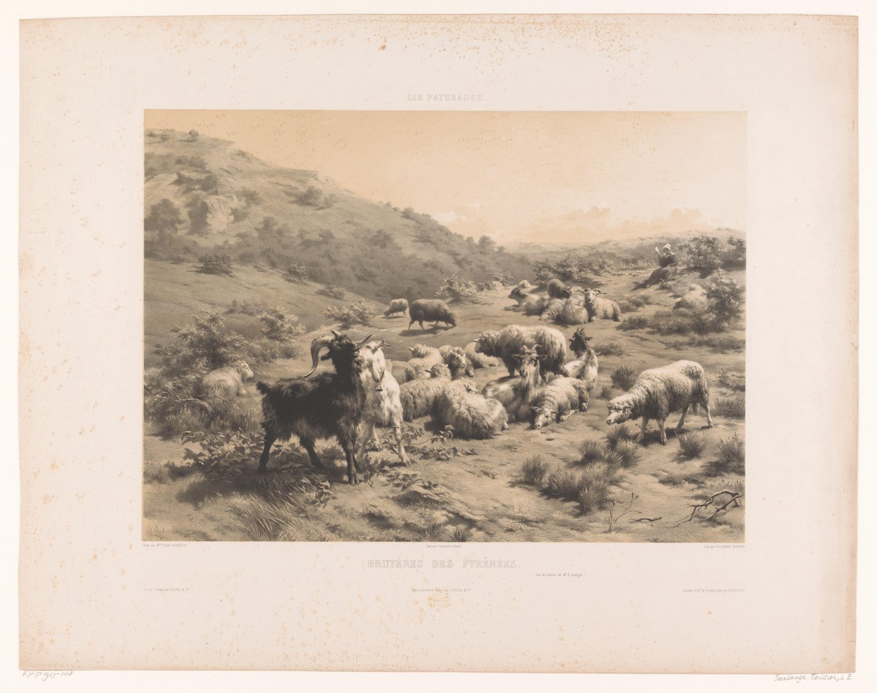 Pireneler'de keçi ve koyunlu çoban Bruyéres des Pyrénées (nesne üzerine başlık) Meralar (dizi başlığı) Les paturages (nesne üzerine dizi başlığı) by Louis Emmanuel Soulange Teissier