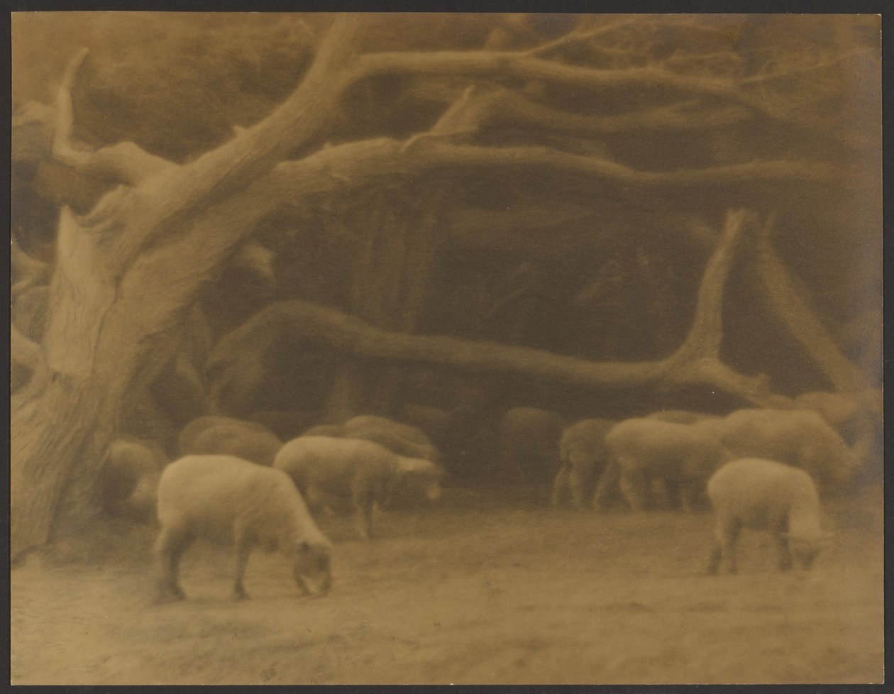  by Louis Fleckenstein