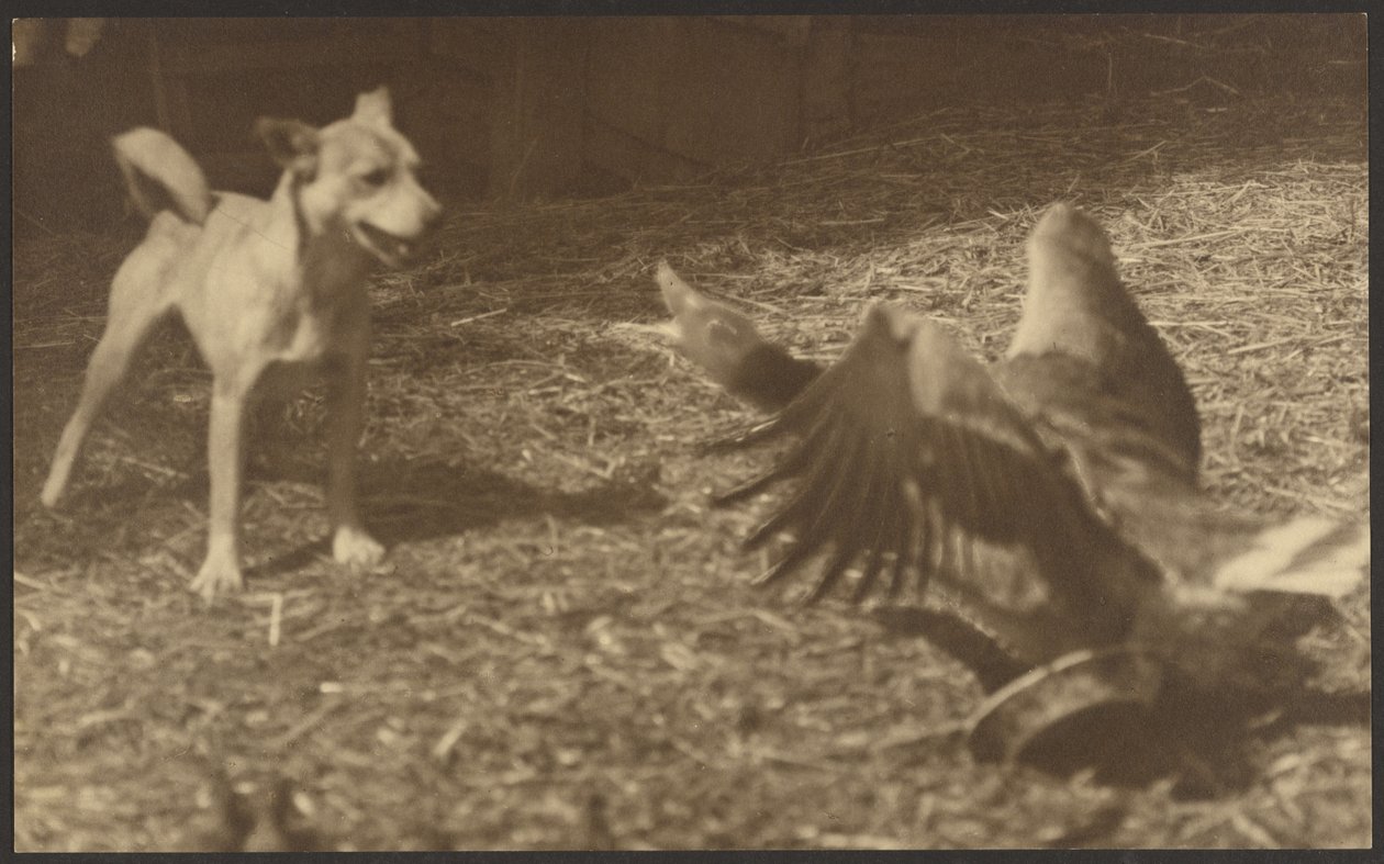  by Louis Fleckenstein