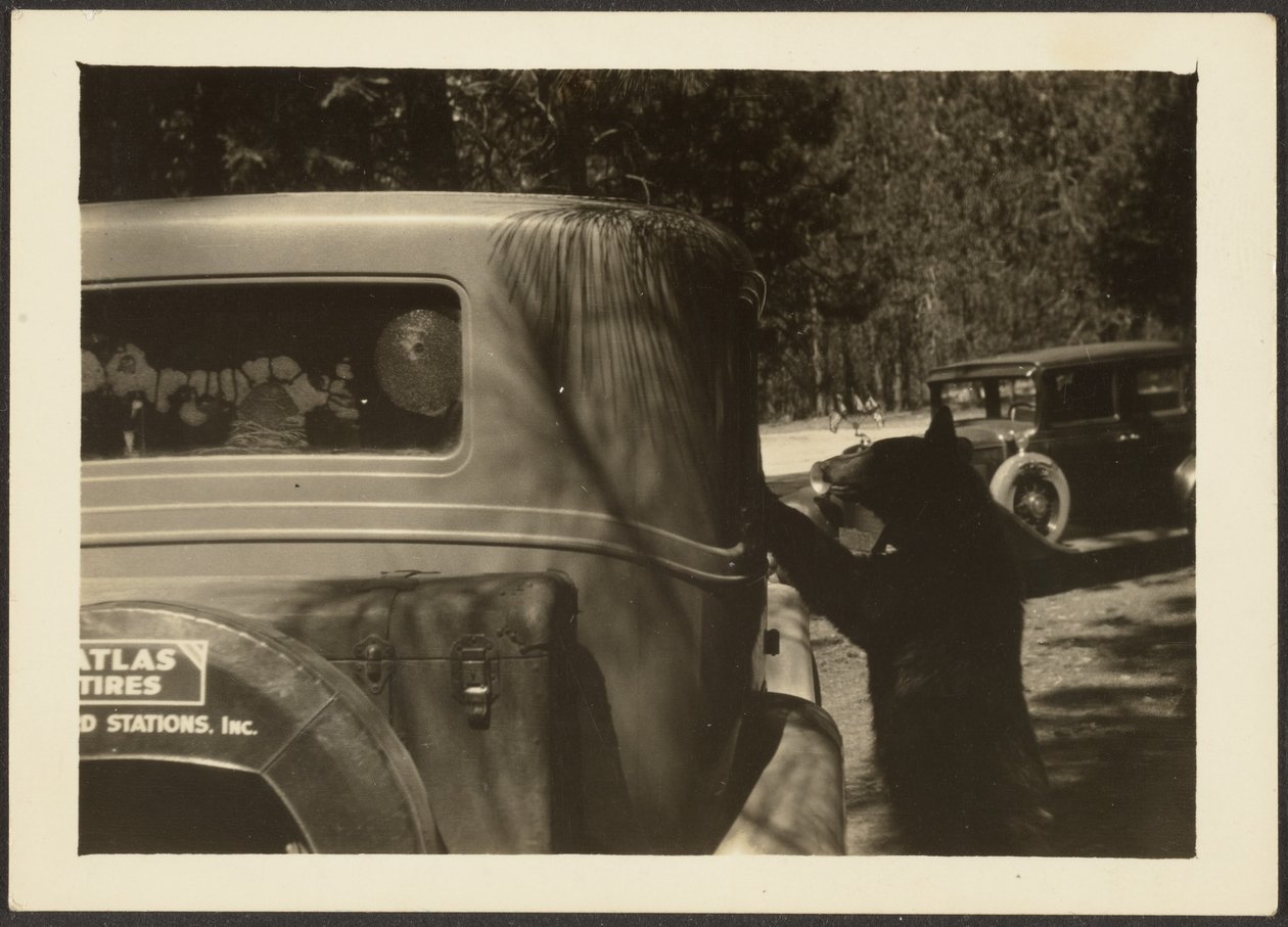  by Louis Fleckenstein