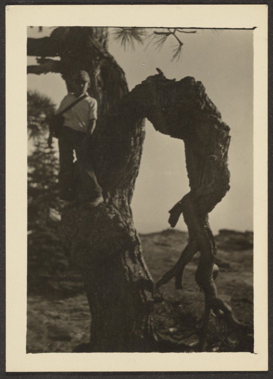  by Louis Fleckenstein