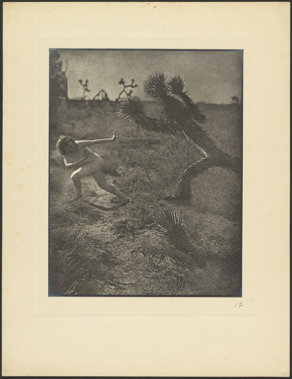  by Louis Fleckenstein