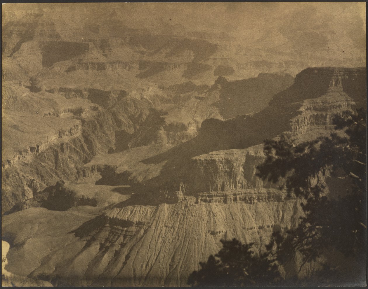  by Louis Fleckenstein