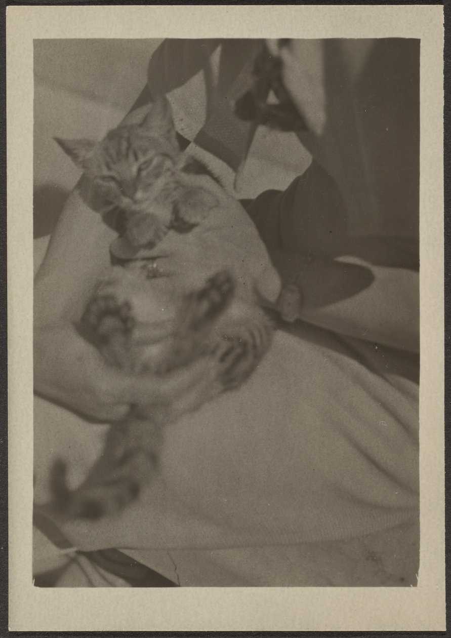  by Louis Fleckenstein