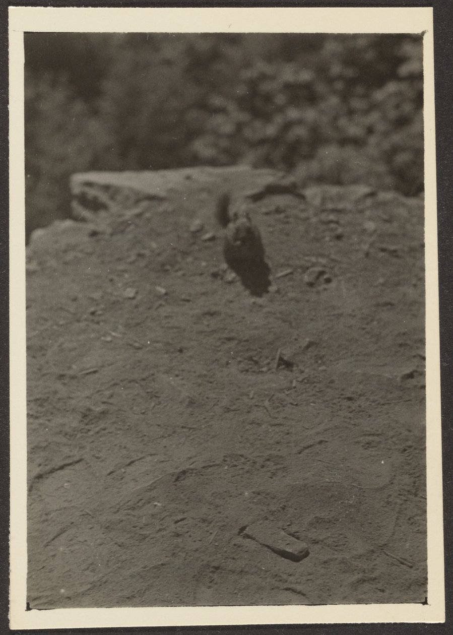  by Louis Fleckenstein