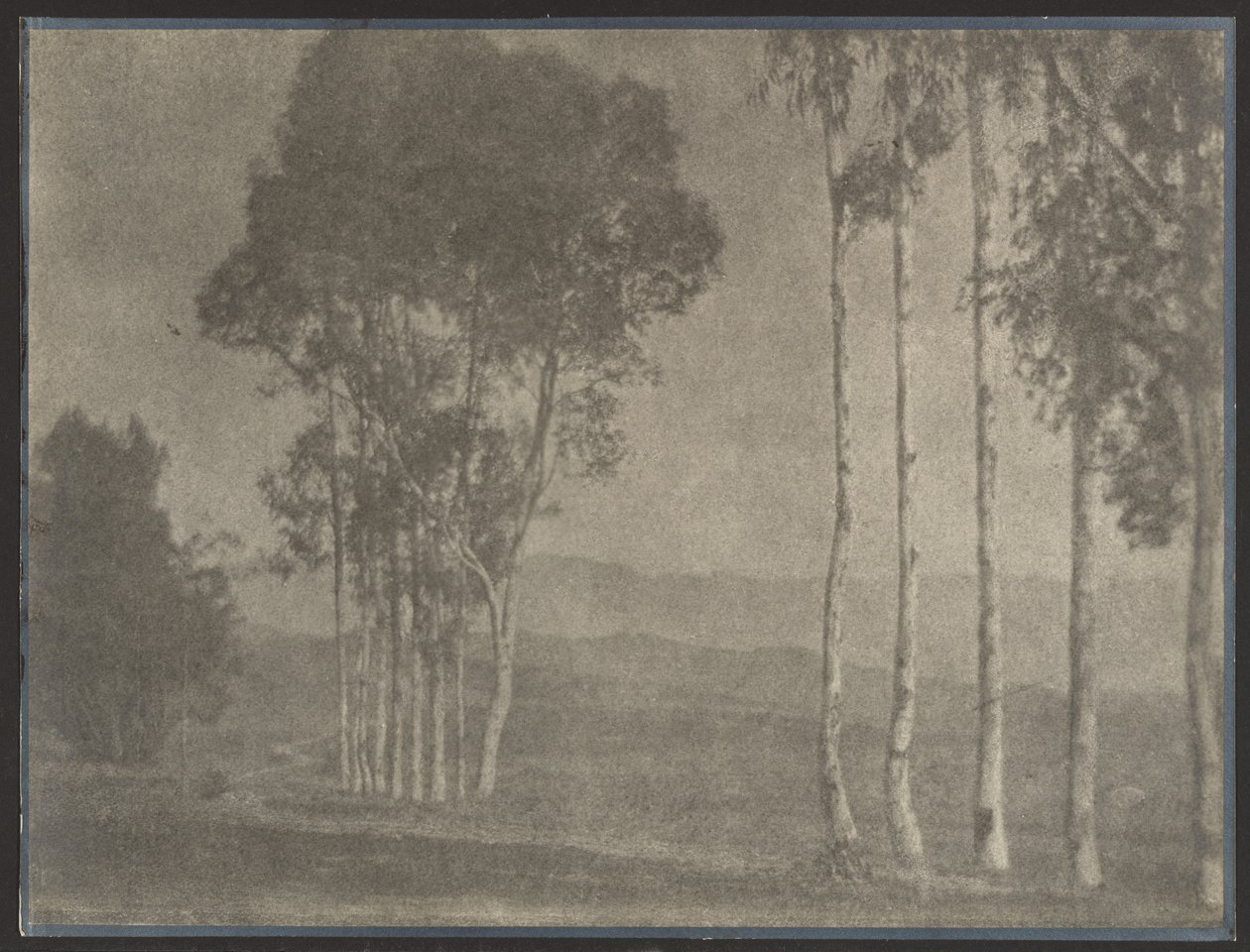  by Louis Fleckenstein