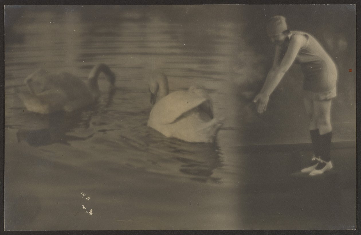  by Louis Fleckenstein