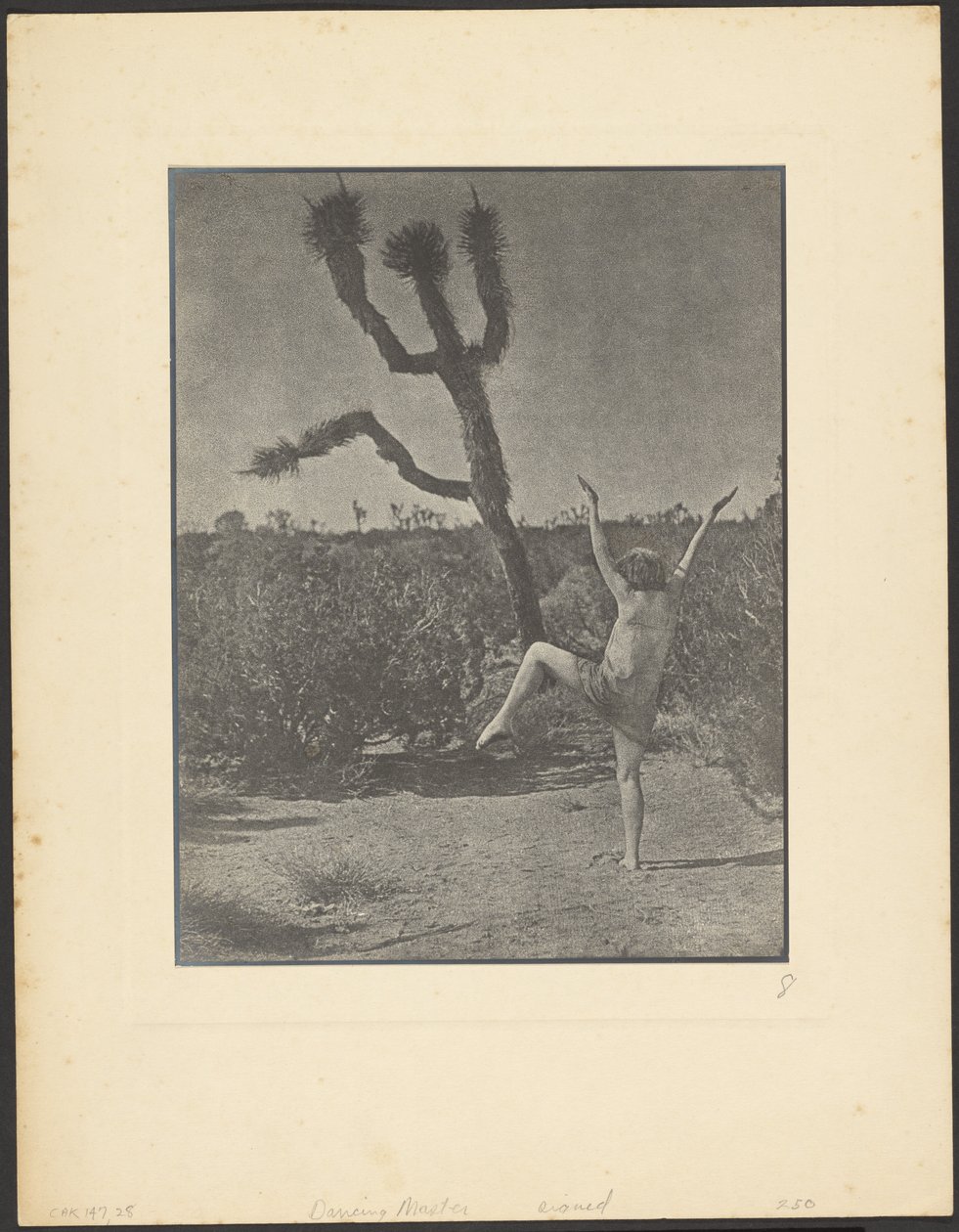  by Louis Fleckenstein