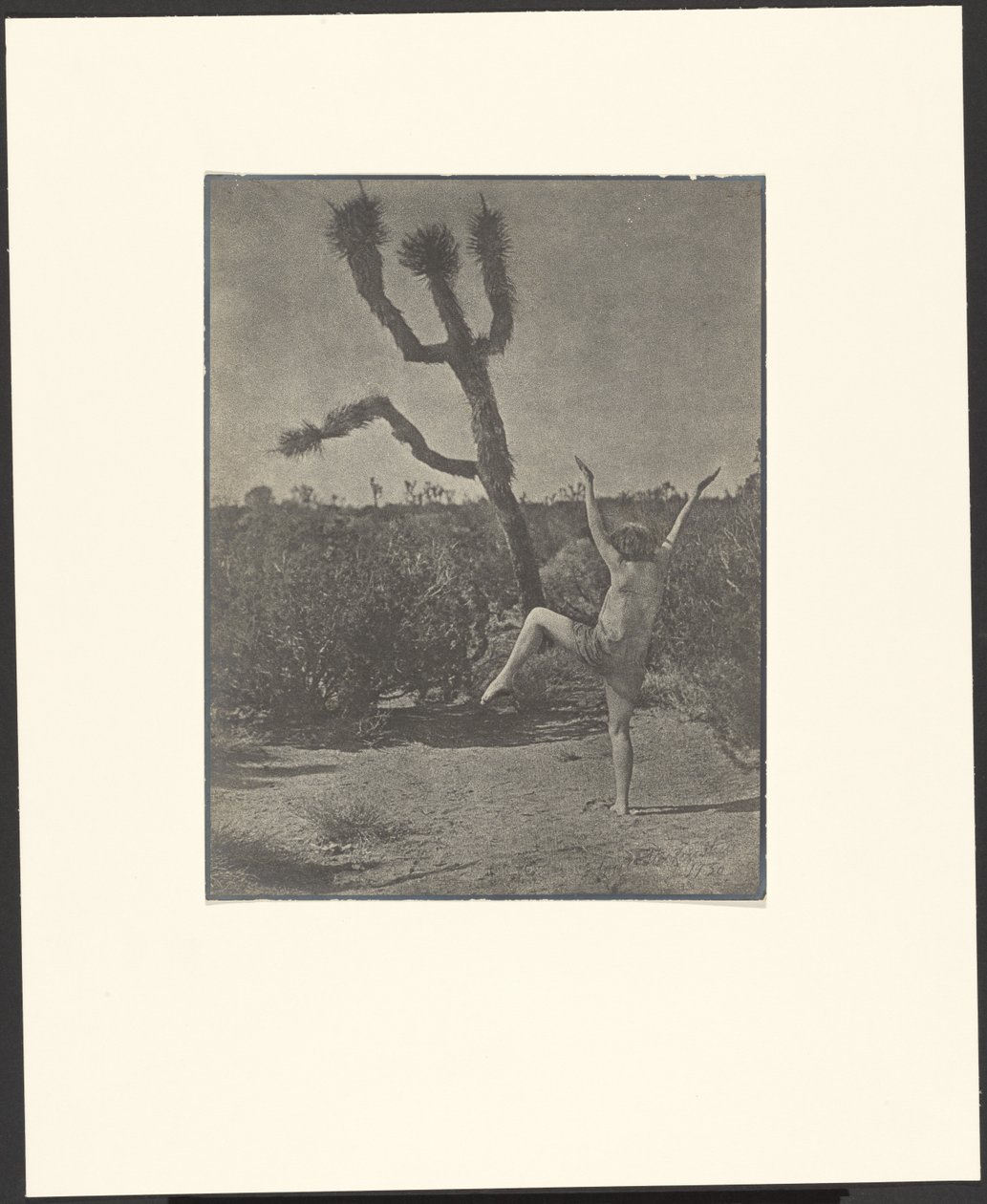  by Louis Fleckenstein