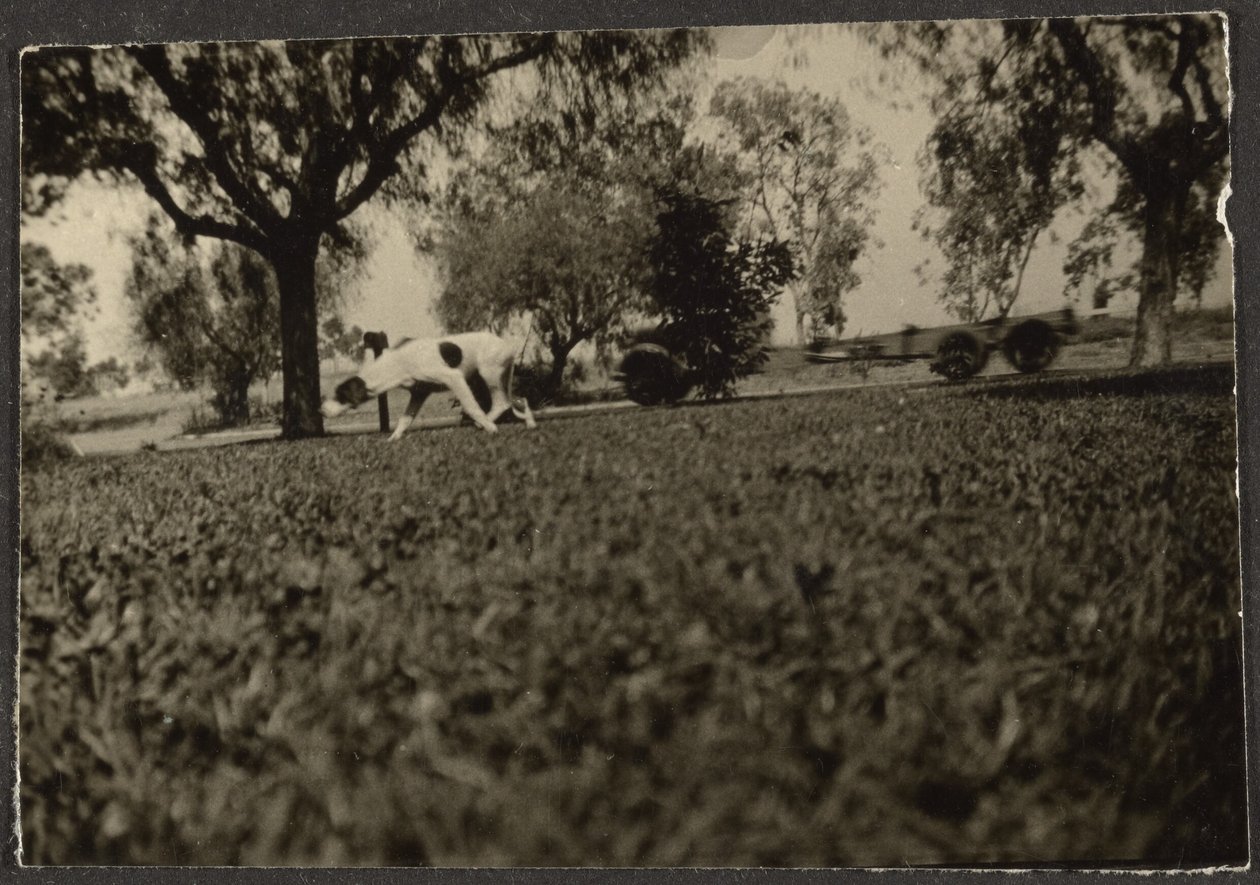 by Louis Fleckenstein