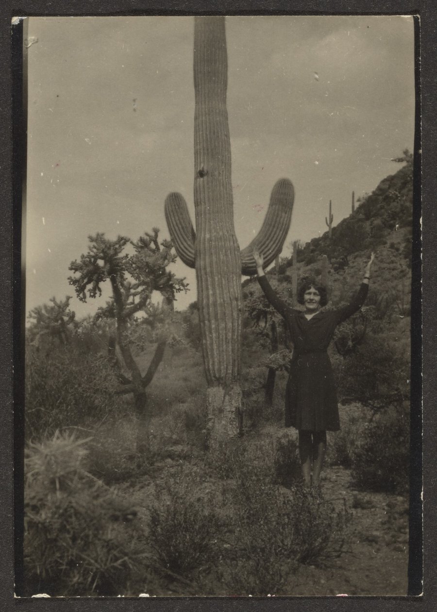 by Louis Fleckenstein