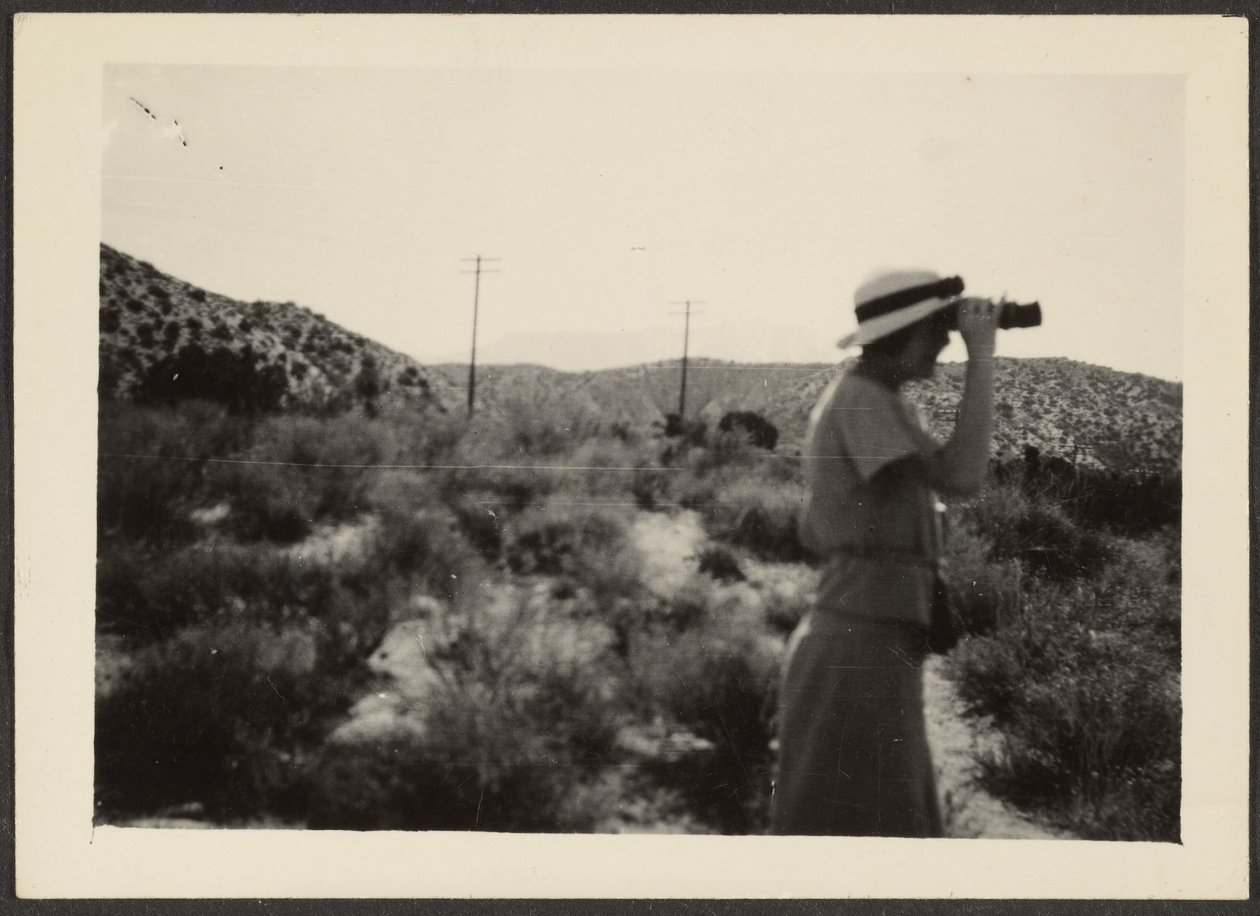  by Louis Fleckenstein